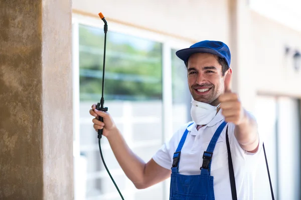 Westerville Wasp Removal