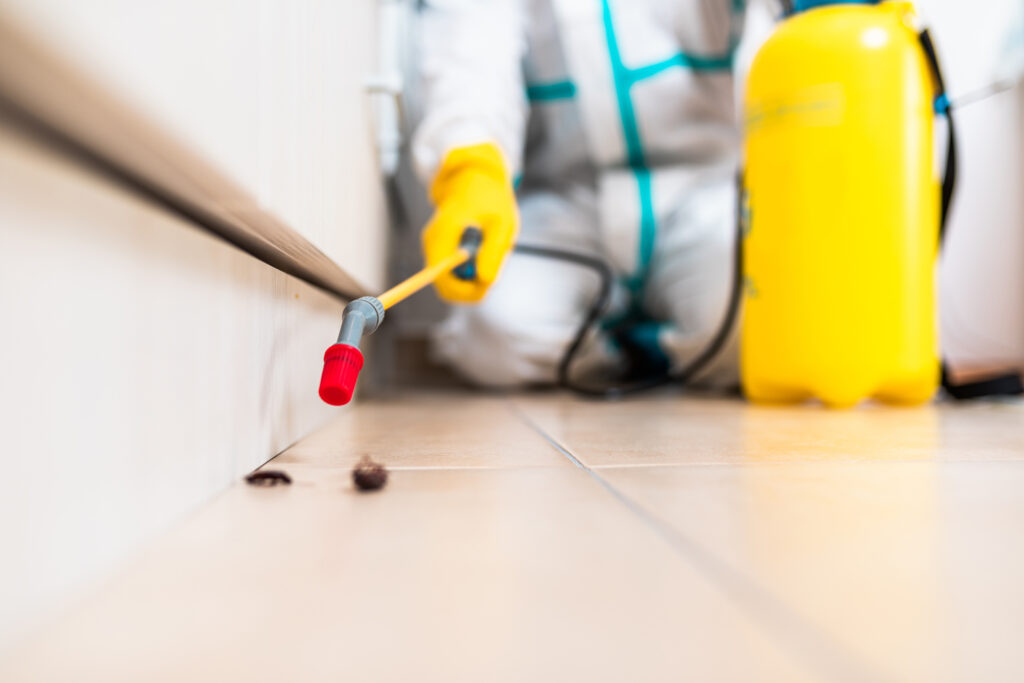 Westerville Cockroach Experts