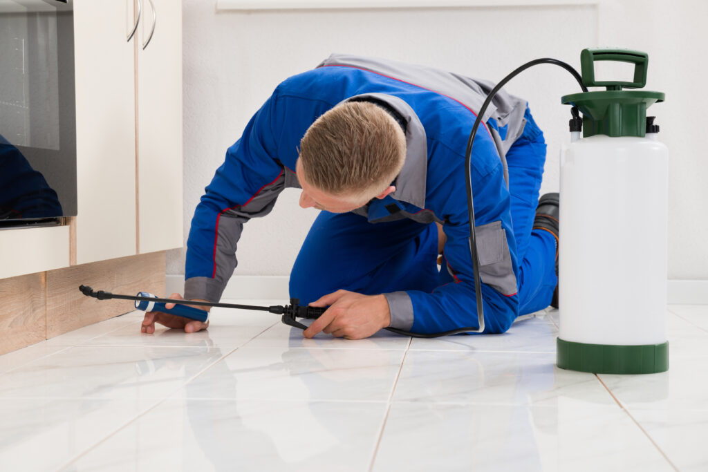 Westerville pest control
